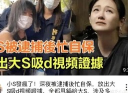 娱乐圈的吃瓜生活：从萌猫“吃瓜酱”到明星幕后趣闻大揭秘