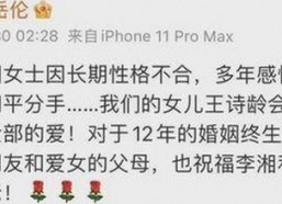 吃瓜君七七与折耳猫：娱乐圈里的一抹温暖风景