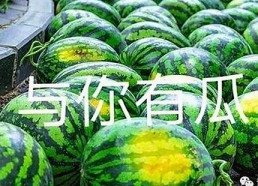 三只羊录音门大揭秘：卢文庆私生活爆料引爆直播圈风暴🔥