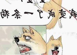 揭秘娱乐圈“吃瓜男”与日本电影经典拍摄地