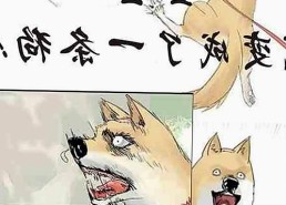 娱乐吃瓜男主与吃瓜酱女生：圈内人脉与友情背后的故事揭秘