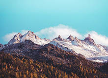 娱乐圈吃瓜导航：揭秘明星背后的故事与情感