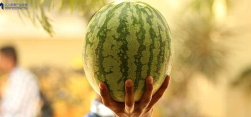 51爆料网揭秘：吃瓜表情包与明星高铁出行趣闻