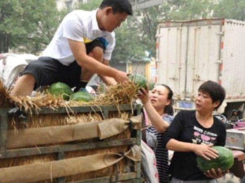 娱乐圈的吃瓜生活：从萌猫“吃瓜酱”到明星幕后趣闻大揭秘