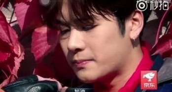 张栋梁最新动态与争议回顾：揭秘娱乐圈背后的真相