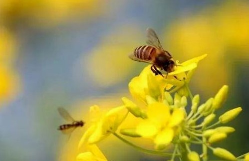 娱乐圈吃瓜大事件回顾：从小助理逆袭到顶流的故事