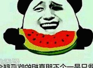 张凌赫与“吃瓜群众”:从云端追星到网络文化的镜像