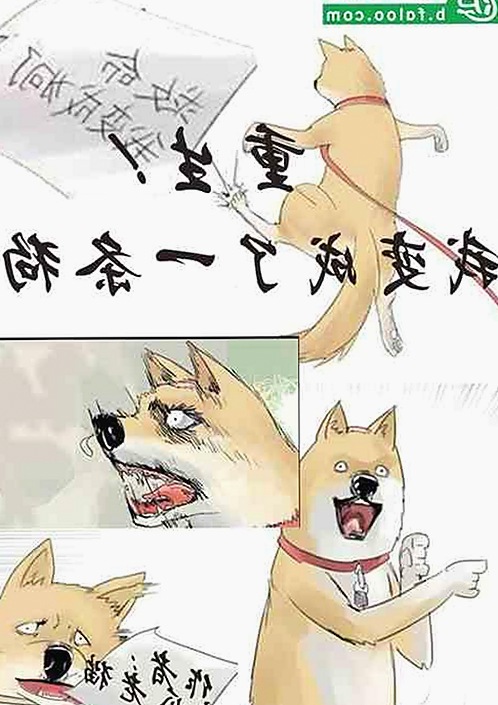 揭秘娱乐圈“吃瓜男”与日本电影经典拍摄地