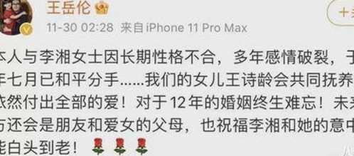 吃瓜君七七与折耳猫：娱乐圈里的一抹温暖风景