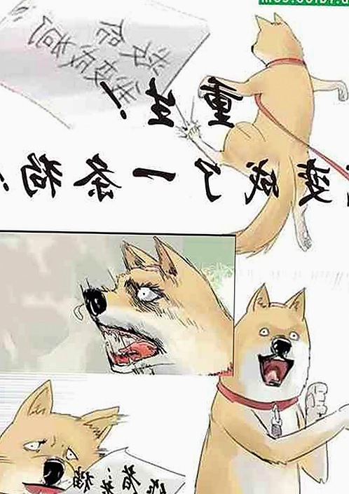 娱乐吃瓜男主与吃瓜酱女生：圈内人脉与友情背后的故事揭秘