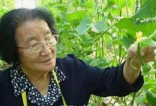 娱乐圈的那些经典吃瓜瞬间与表情包背后的故事