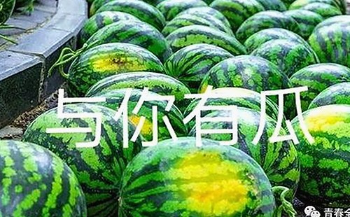 三只羊录音门大揭秘：卢文庆私生活爆料引爆直播圈风暴🔥